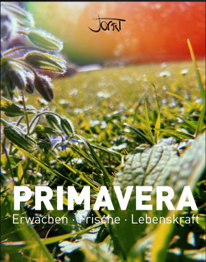 Primavera Manufaktur-Parfum Artwork mit Makro-Aufnahme von Frühlingsgras und Blüten sowie dem Schriftzug Erwachen Frische Lebenskraft